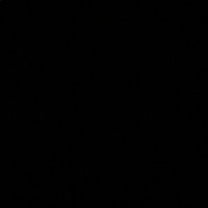 Meet your Posher, Ben